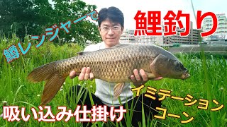 【鯉釣り】イミテーションコーンと団子で鯉は釣れるのか？【鱒レンジャー】