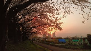 永遠に続く情熱～N郎♪チャレンジパーフェクトリリースエンディング