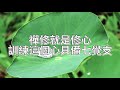 [字幕] 禪修就是修心 訓練這個心具備七覺支｜阿贊耀開示 2022-12-01