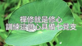 [字幕] 禪修就是修心 訓練這個心具備七覺支｜阿贊耀開示 2022-12-01