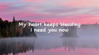 Calum Scott - You Are The Reason [Lyrics]