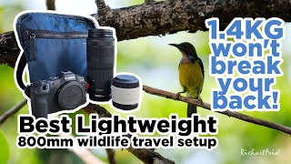 Canon R8 Best Lightweight Wildlife Travel RF 100-400mm RF 2X Extender