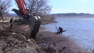 Landowner uses willows to prevent bank erosion