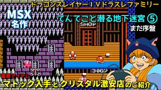 【ドラスレＩＶ】序盤。マトック、パワーナックル入手他、クリスタル激安店情報【MSX/ファミコン】