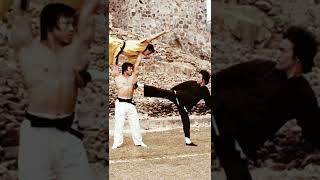 Bruce Lee Fighter