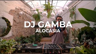 Electro and House beats with Dj Gamba at Fedra - Alocasia TV Barcelona