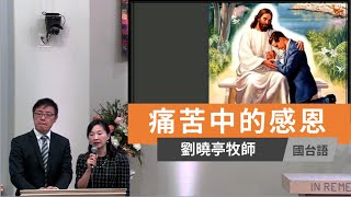 【痛苦中的感恩】劉曉亭牧師 台語堂\u0026國語堂聯合崇拜主日直播 2021-11-28