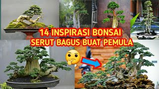 14 INSPIRASI BONSAI SERUT BAGUS || BONSAI SETUT