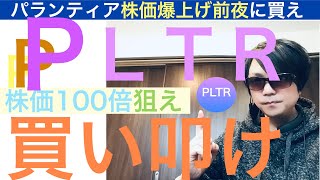 PLTRパランティア株を買い叩け【全力次のテスラ】銀行不安最中の株価予想とテンバガー