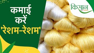 रेशम कीट पालन, जानिए पूरी डिटेल्स | how to start sericulture farming | how to start silk farming