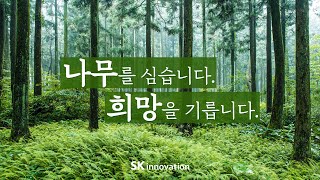 ‘나무를 심습니다. 희망을 기릅니다’ - SK이노베이션, 산불피해지역에 ‘SK 울산 행복의 숲’ 조성한다