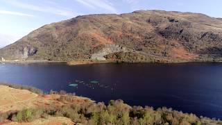 Port na Mine, Inverawe, near Taynuilt, Argyll and Bute