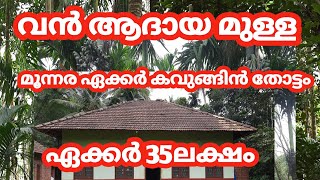 വൻ ആദയമുള്ള മൂന്നര ഏക്കർ കവുങ്ങിൻ തോട്ടം #realestate