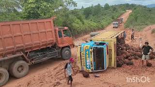 The oil palm truck collapsed due to bad roads.