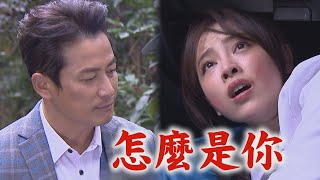 【一家團圓】EP14 家玲嘗試逃跑又被抓住 少強發現少風異狀｜Family Reunion