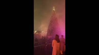 Christmas Tree Lighting UP CLOSE at Cullman Christkindl Market