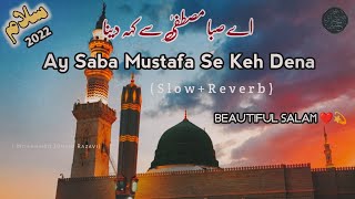 Ay Saba Mustafa Se Keh Dena | Slow+Reverb | Hafiz Tahir Qadri