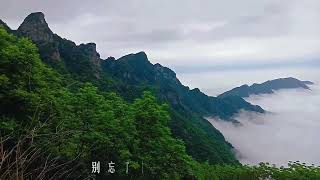 安康市汉阴县凤凰山风景区实景拍摄，站在山项上拍美丽云海