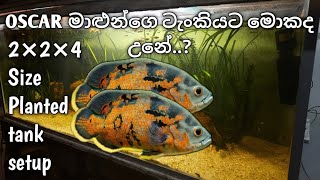 ඔස්ක මාලුන්ගේ ටැංකියට මොකද උනෙ..?//Oscar fish tank setup//Ne Planeted tank setup//