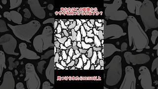 ウサギを見つけられたらIQ150以上