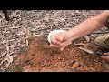 gold prospecting around fryerstown in the golden triangle