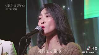 《梨花又开放》 动人女声版本 张泽颖