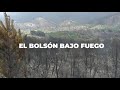 ALERTA: fuego en El Bolsón 🔥 - Greenpeace Argentina