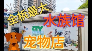 [13] 槟城最大型水族馆及宠物店 - 周天央水族馆 # The largest Penang Aquatic & Pets - CTY @ 24 April 2022