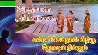 போதாயன அமாவாசை | Bothayana Ammavasai