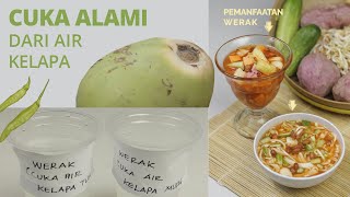 Cara Membuat WERAK | Cuka Alami dari Air Kelapa dan Cabai