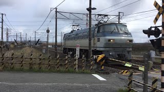 【貨物列車】R6.3.9   8865レ（稲沢→吹田タ）EF66ｰ126（サメ)単機　荒尾駅の近く　通過シーン！