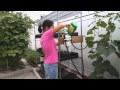 How to build an automated seed starting system (自动育苗系统) How to build an automated seed starting system (自动育苗系统)