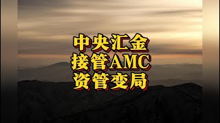 中央汇金接管三大AMC，中国金融布局或将迎来大变革，你准备好了吗？#AMC#资产管理公司#中央汇金 （2025年2月特辑）