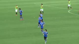 2013－2016地域都県BEST GOALS