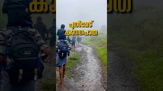 സത്രം പുല്‍മേട് വഴി ശബരിമല സന്നിധാനം #Sabarimala #forest #walking #kerala #swamisaranam #ayyappan