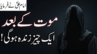 Aik Cheez Mout k Bad Zinda Hogi Hazrat Imam Ali as Quotes | Qabar | After Death | Mehrban Ali