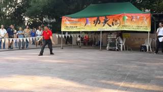 洪鳳派國術總會功夫閣表演-王國祥師傅(五馬歸槽)