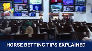 Tips and tricks to making smart bets at the Preakness