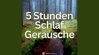 Plätschernder Bach und Vogelstimmen – entspannende Naturklänge