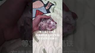 会有姨姨愿意嘛#萌宠出道计划 #养鼠日常分享 #仓鼠 #仓鼠🐹 #养鼠日常