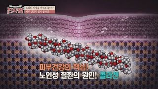 피부 건강의 열쇠 콜라겐, 노화의 시계를 거꾸로 돌려라! 백세의 품격 진시황 11회