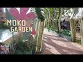 MOKO GARDEN‼️ MONGKOK HONG KONG‼️TKW HK @najwaimutvlog4692