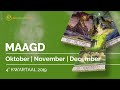 MAAGD OKTOBER | NOVEMBER DECEMBER 2019 TAROT VOORSPELLING LEZING