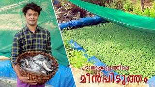 Padutha Kulam | Vaala meen Valarthal Malayalam | Fish farming | Y24tech