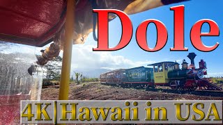 4K HAWAII Dole Plantation Riding the Pineapple Express Train 🚂🍍