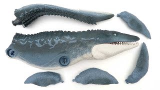 Dinosaurs For Kids! Jurassic world mosasaurus real action figure - finding tail fun video 모사사우루스