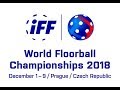 2018 Men's WFC - SGP v JPN (15th place)