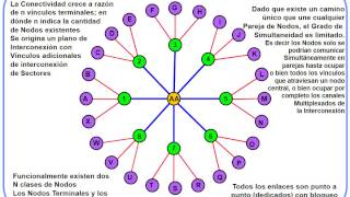 Especialista Modulo 1 Tema 1 V225A