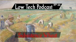 Subsistence Wheat -- Low Tech Podcast, No. 66