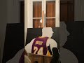 Kobe Bryant acrylic painting #kobebryant #kobe #art #painting #acrylicpainting #video #viralvideo